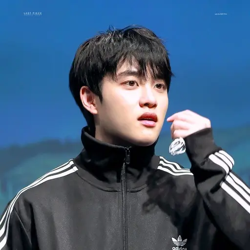 RottenQuilt4916의 도경수