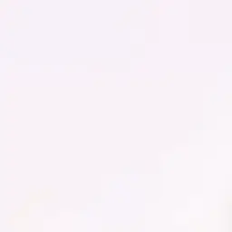 ExpertApple2439의 配信