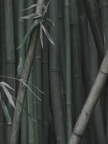 o_oi2의 忠君愛國
