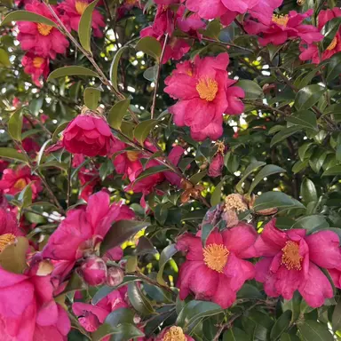 Profile image of その他