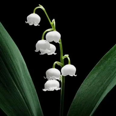 Profile image of 김 준우