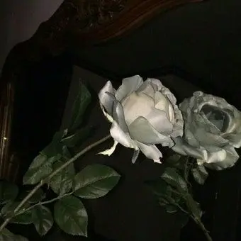 Profile image of 규 민준