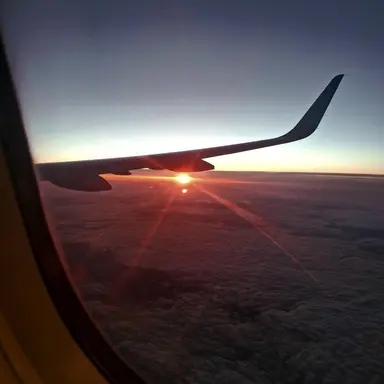 Profile image of 유기사