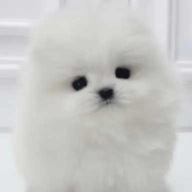 Profile image of 정하승