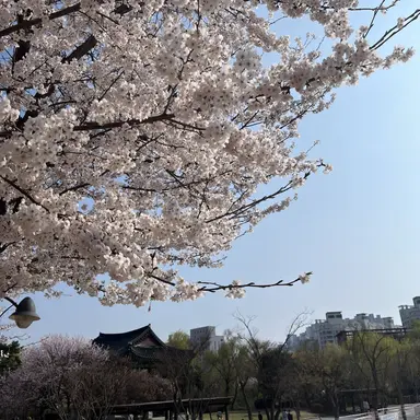 Profile image of 밥풀