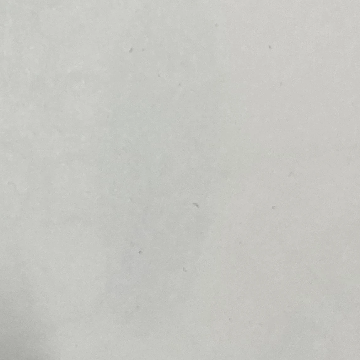 퓨어바닐라