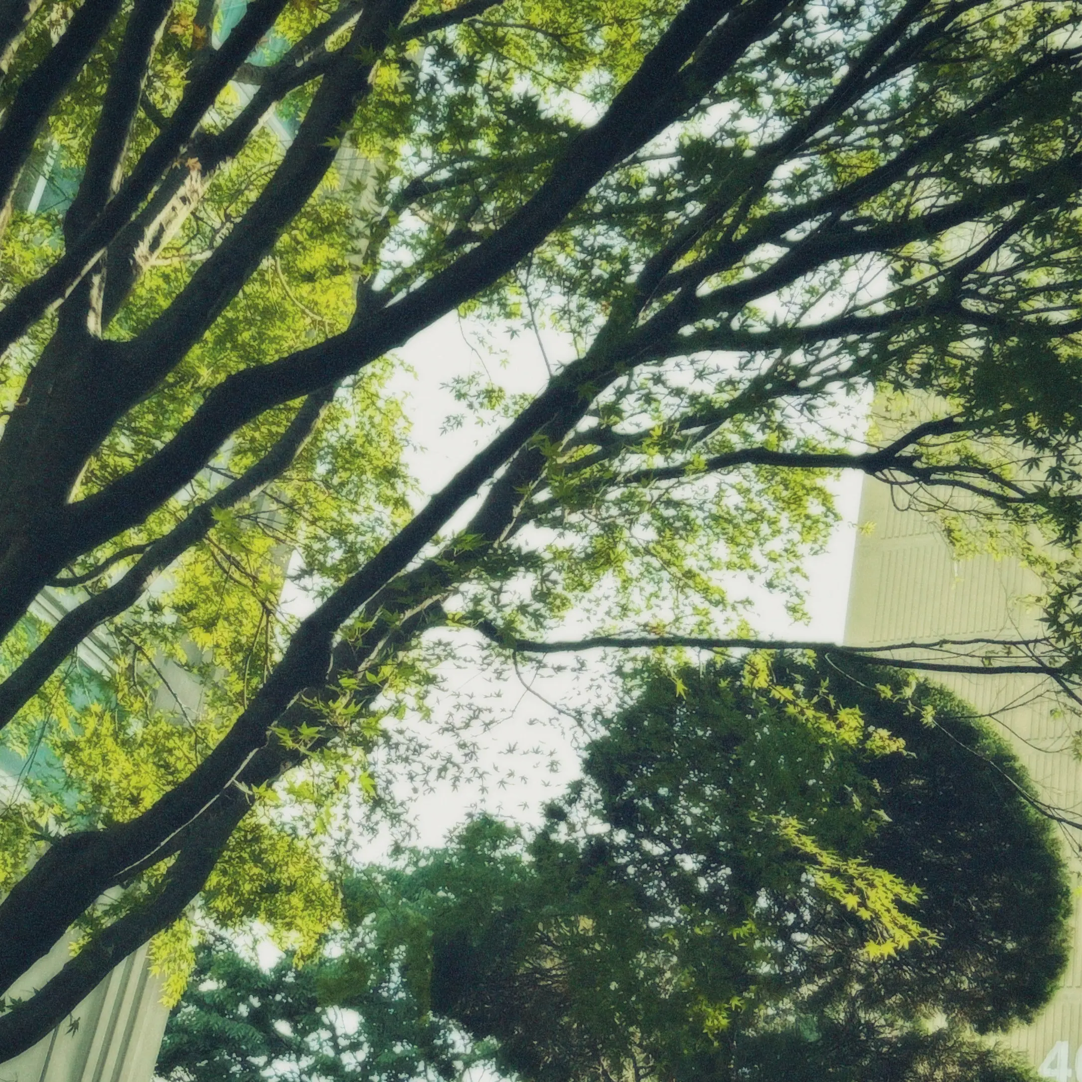 t_xn.a1의 𝐼𝑎𝑛