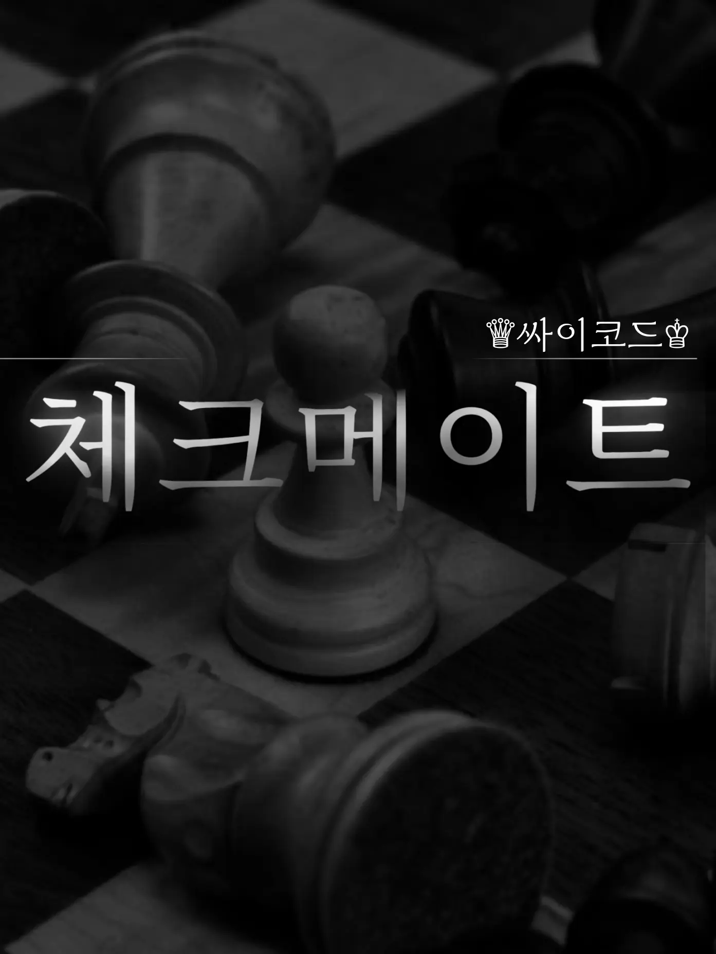 sua141109moon의 ✧싸이코드✧