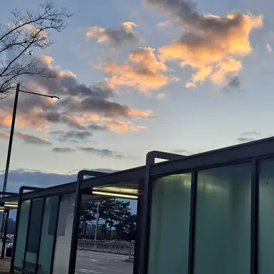 Profile image of 한하늘