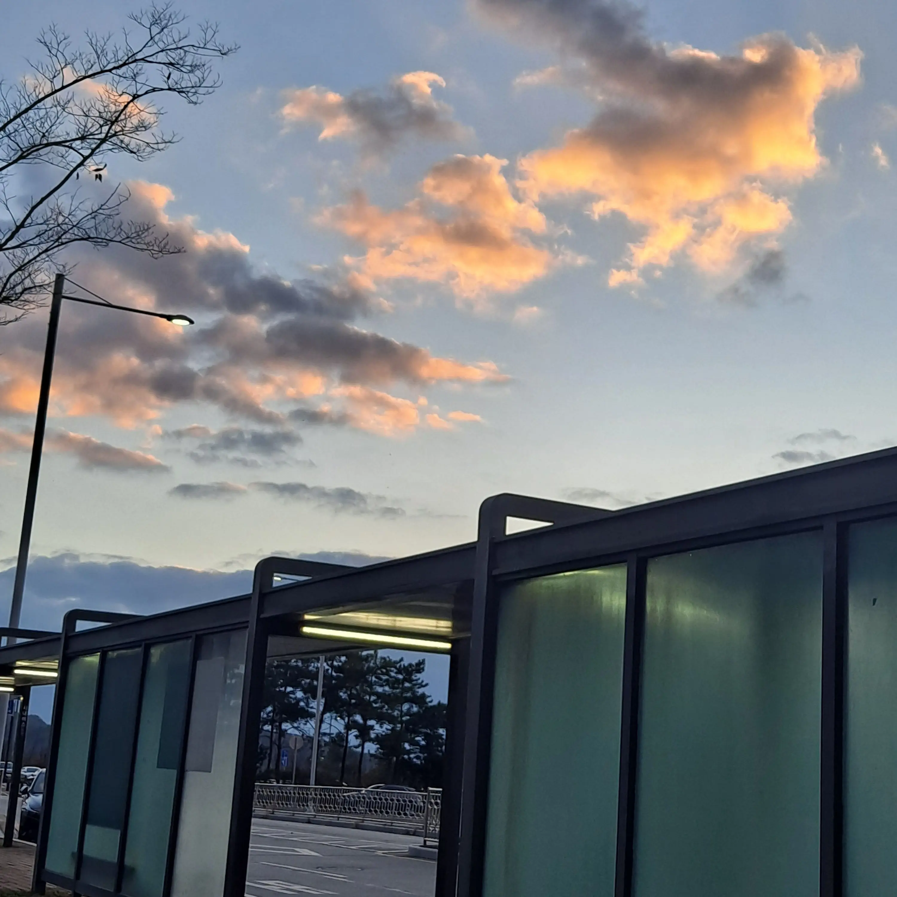 MuteIron4860의 천재와 바보 사이