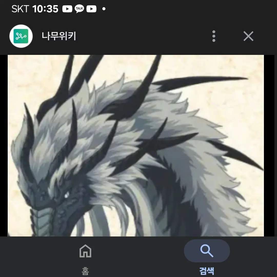 NearFear9803의 드래곤 프린스