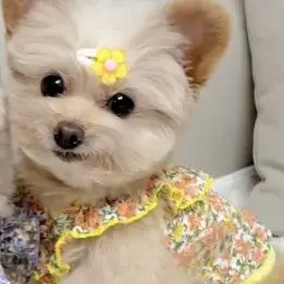 Profile image of 르네