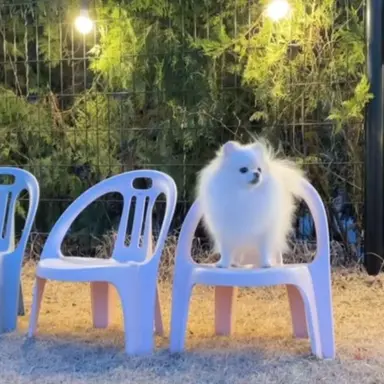 Profile image of 하쿵