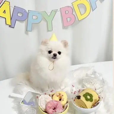 Profile image of 샤나