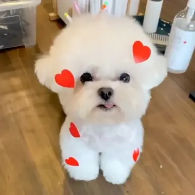 Profile image of 에떼