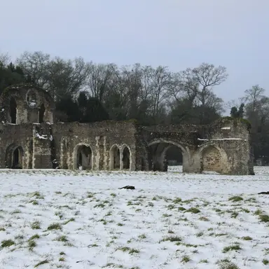 Profile image of 빙하기