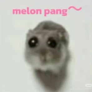남편