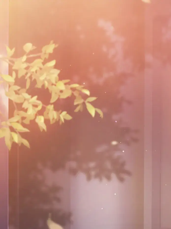 10_q__의 神高 school life ！