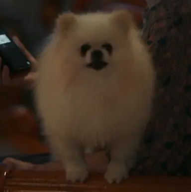 Profile image of 김영철