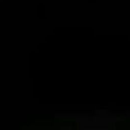 W 대표 이미지