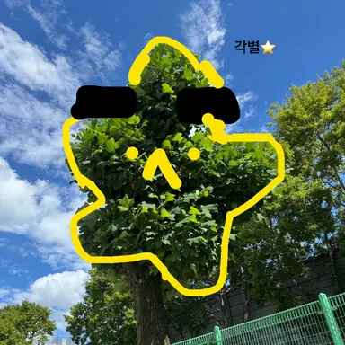 Profile image of 미수반