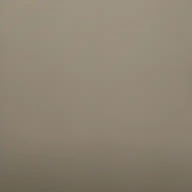 Profile image of M