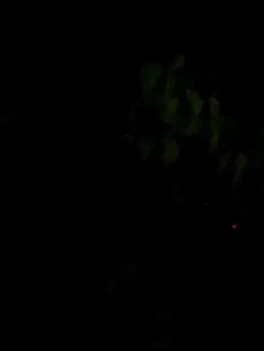 PluckyLaser4972의 쿨융숀