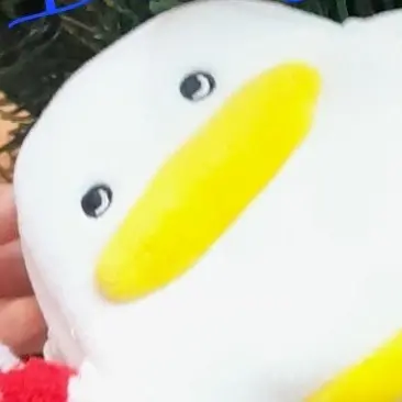 Profile image of 늑대