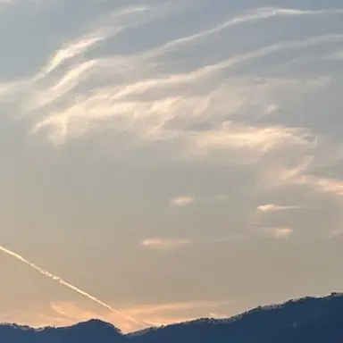 Profile image of 헨리 루퍼트