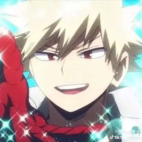 RudeArmor3253의 자해? or 일반 상처?