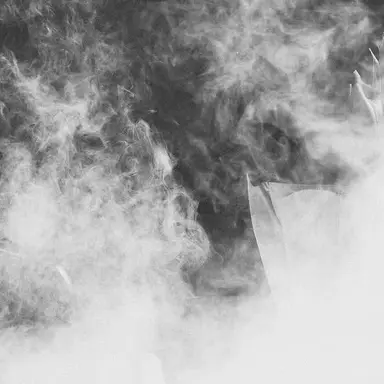 Profile image of 真人