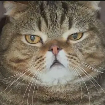 Profile image of 루루