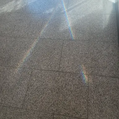 Profile image of 다른 학생