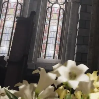 Profile image of 取り合い