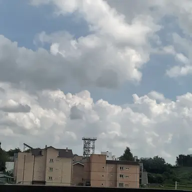 Profile image of 유기사