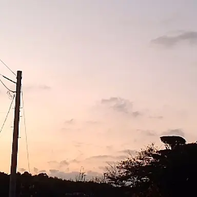 Profile image of なにわ男子