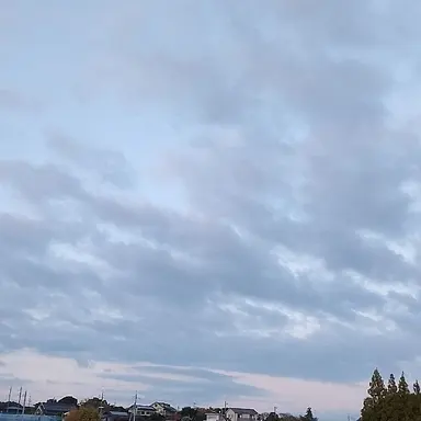 Profile image of キンプリ