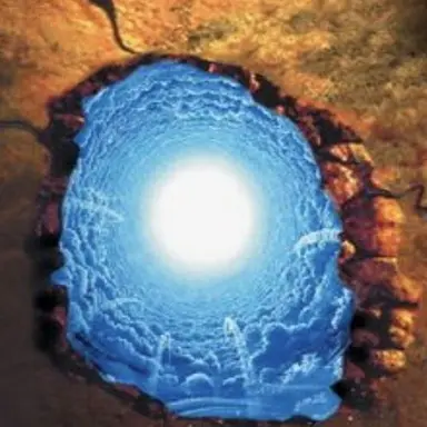 Profile image of 쫑궐