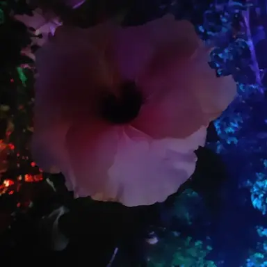 Profile image of Create your own story