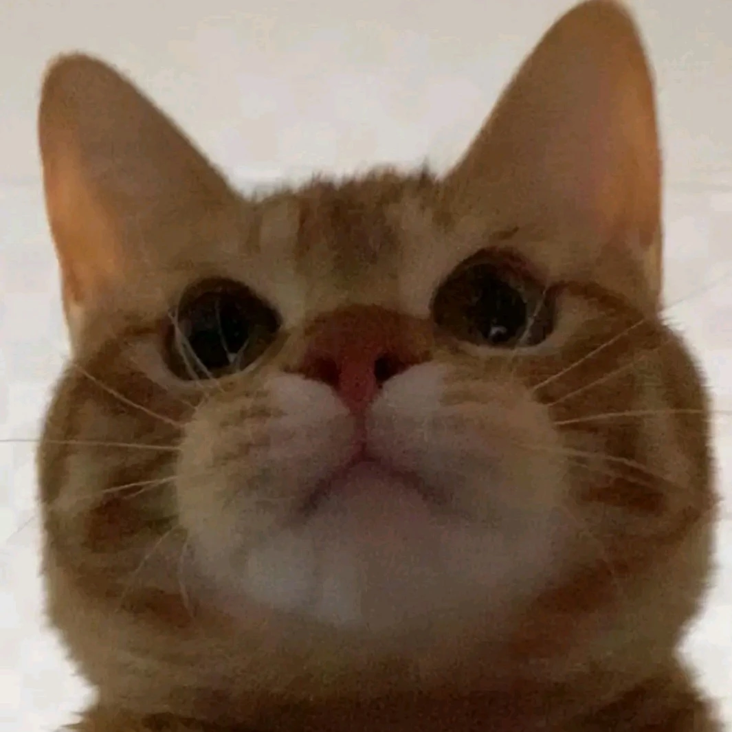 콩떡이