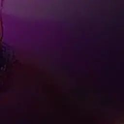 Profile image of 고요