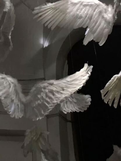 ㅤ 대표 이미지