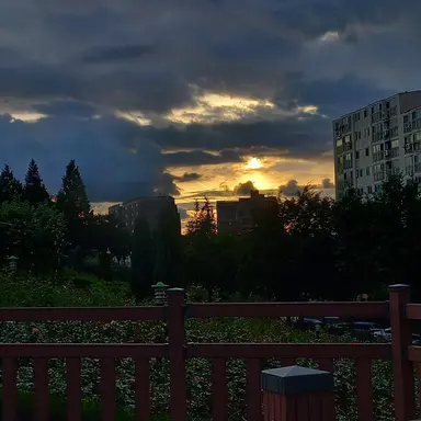 Profile image of 유저님의 세계관