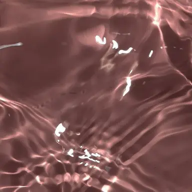 Profile image of 박리안