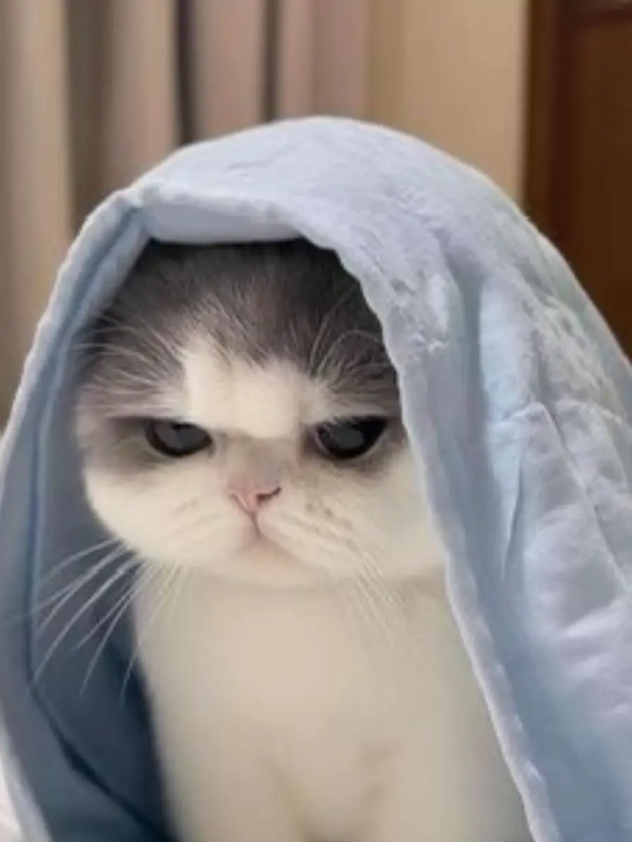 tolom1_xoxo의 ダイエット妨害