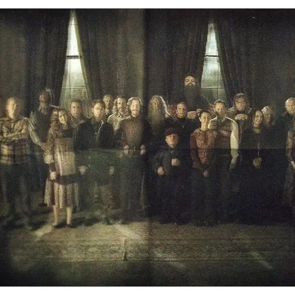 Dark_shark1003의 The order of Phoenix