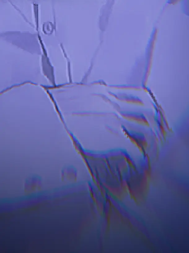 ne_la의 # まさかのΩでした 。