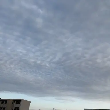 Profile image of 烏野高校