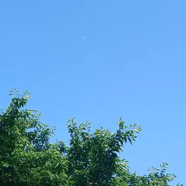 Profile image of 유저