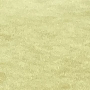 ガイ